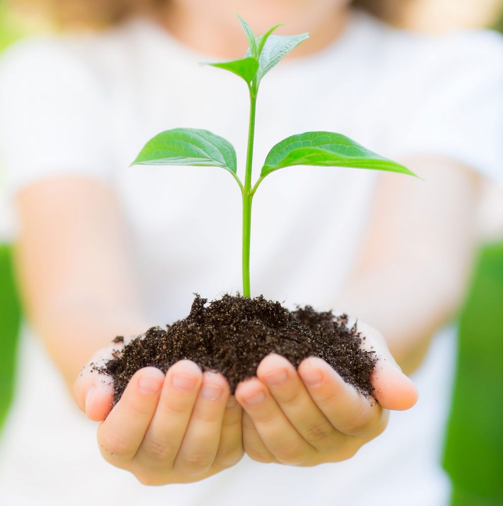 Thrive - Dyslexia tutoring Townsville